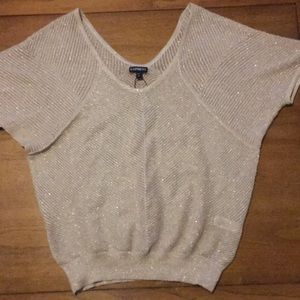 Shimmery express sweater